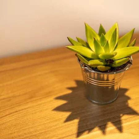 Apartment Stylish Near & A Few Minutes To The Promenade By Quicktrips *