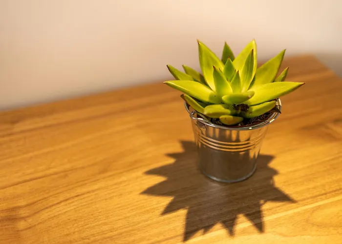 Lägenhet Stylish Near & A Few Minutes To The Promenade By Quicktrips *